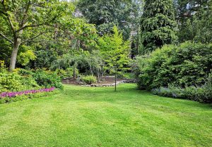 Optimiser l'expérience du jardin à Beauvene